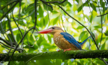 Hiduplah Seadanya Saja. Toh, Kita Akan Mati