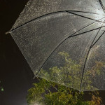 Kenapa Hujan Sering Jadi Soundtrack Paling Jujur Buat Perasaan?