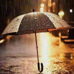 Payung Tua di Tengah Hujan