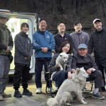 Kebakaran Hutan Korea Selatan Mengundang Partisipasi Para Figur Penting dalam Rehome Campaign