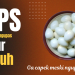 Tips Mudah Mengupas Telur Puyuh
