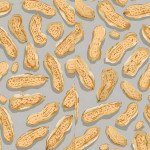 Jangan Seperti Kacang Lupa Kulitnya