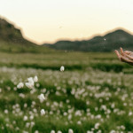 Wind of Change dan Zaman yang Terus Bergerak: Tentang Perubahan, Harapan, dan Cara Kita Bertumbuh