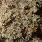 Resep Sambal Urab