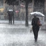 Cuaca Ekstrem, Produktivitas Turun? 5 Cara Perusahaan Bantu Karyawan Tetap Nyaman Bekerja