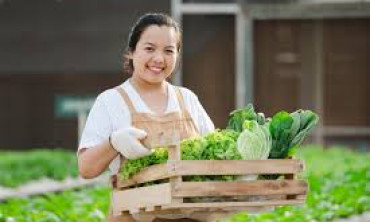 5 Langkah Simple Buat Kamu yang Mau Mulai Bisnis Setelah Pensiun