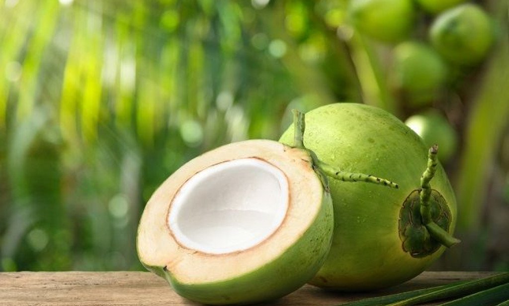 Jarang Diketahui, Inilah 7 Manfaat Buah Kelapa Untuk Kesehatan Tubuh