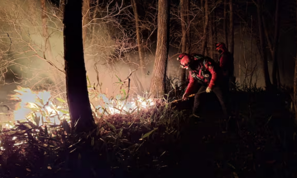 Hutan di Gangwon Yangyang Terbakar, Pemerintah Kerahkan 25 Helikopter