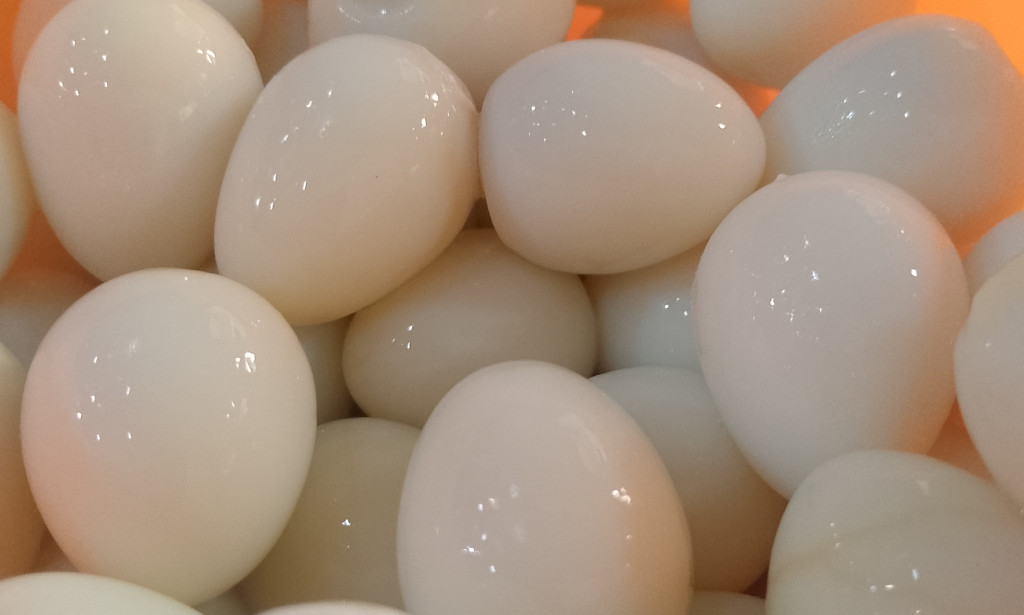 Jualan Telur Puyuh Kupas, Emang Menjanjikan?