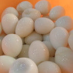 Jualan Telur Puyuh Kupas, Emang Menjanjikan?